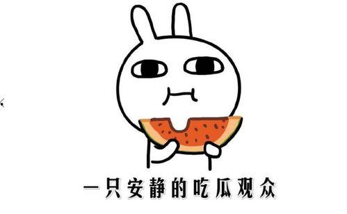 抖音网红吃瓜都有谁了,揭秘热门事件背后的瓜界势力