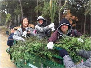 吃瓜网森林消防,森林消防英勇事迹背后的感人故事