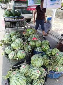 宿州网红吃瓜事件