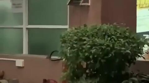 最新吃瓜事件台州新闻网