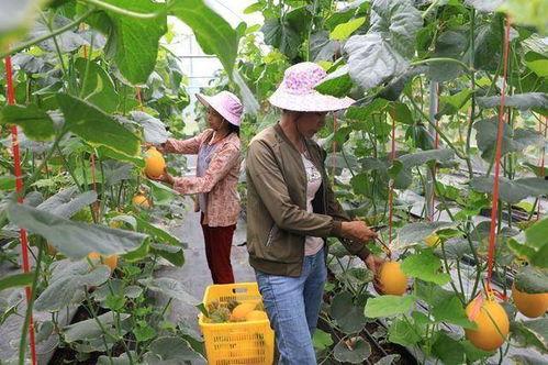 乌克兰网红吃瓜,揭秘幕后真相！