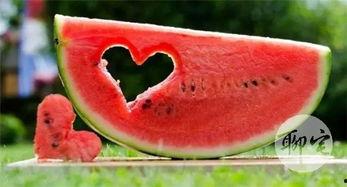 吃瓜官网免费,免费畅享美食资讯的乐园