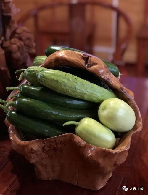 网红刘雅婧吃瓜,一场吃瓜盛宴背后的故事