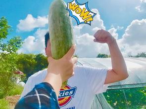 双胞胎网红吃瓜图片,萌态十足引网友热议