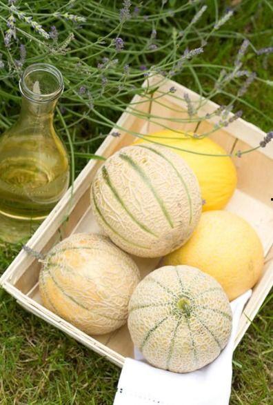 陇南网红二饼吃瓜事件