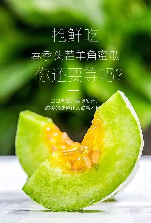 网红瓜在哪儿吃最好吃