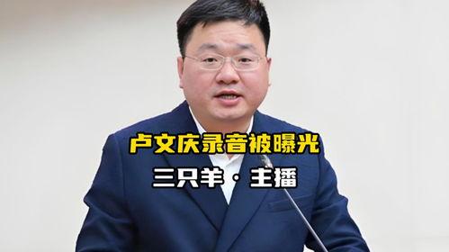 吃瓜网卢文庆录音在线听